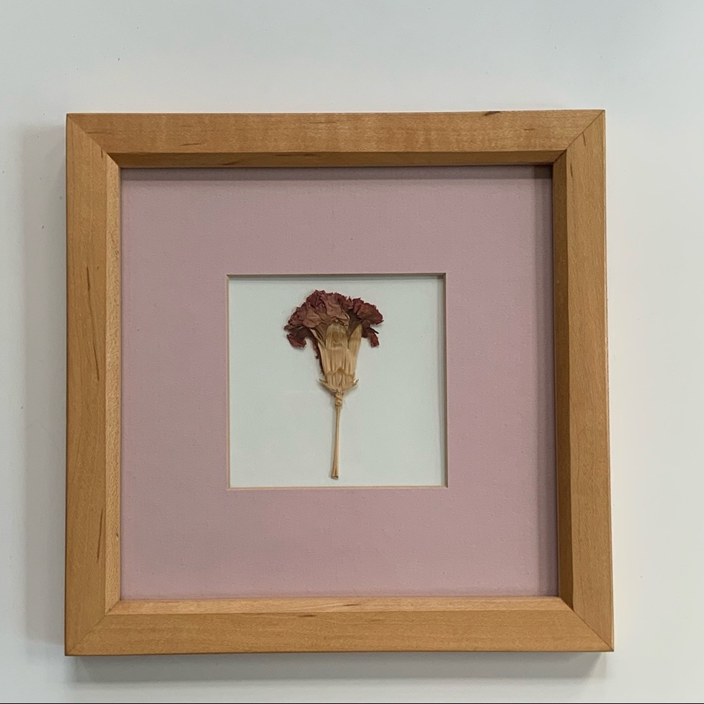 Vintage Wood Framed Dried Botanical Art - 8”x8”